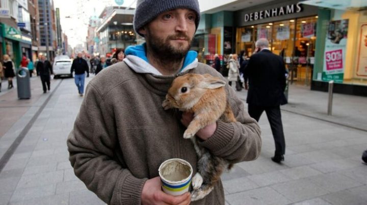 Homeless Man Bravely Jumps Over A Bridge To Save His Rabbit, Which Was Thrown By A Young Man