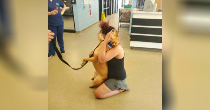 WOMAN LOOKING TO ADOPT A NEW DOG, FINDS HER LOST DOG WHO WENT MISSING FOR TWO YEARS