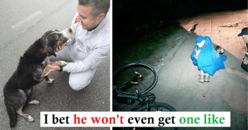 In Romania, a stray dog kept an injured cyclist warm all night