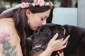 Bride’s dying pet dog lives long enough to walk her down the aisle