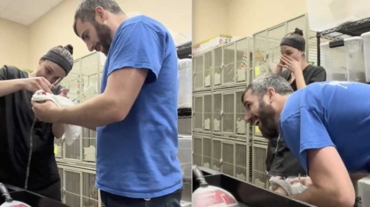 Parrot Makes Veterinary Staff Cry With Laughter During Nail Trim!