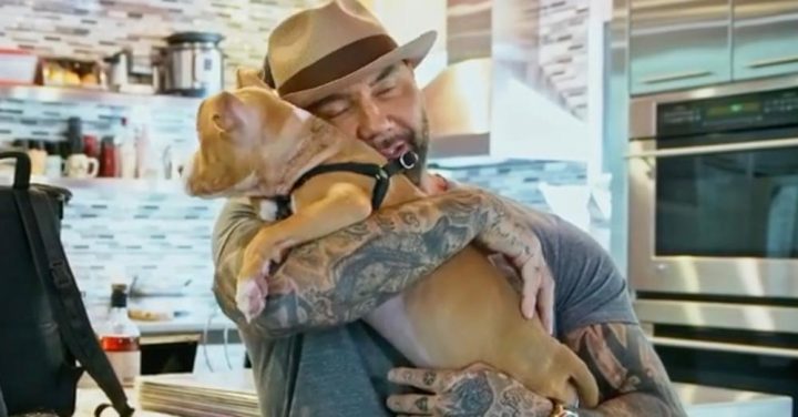 Marvel Superhero Rescues Pit Bull Puppy With Chain Embedded In Her Neck