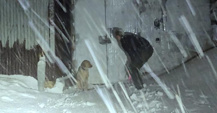 Officer braves heavy snow to rescue dog lost in snowstorm