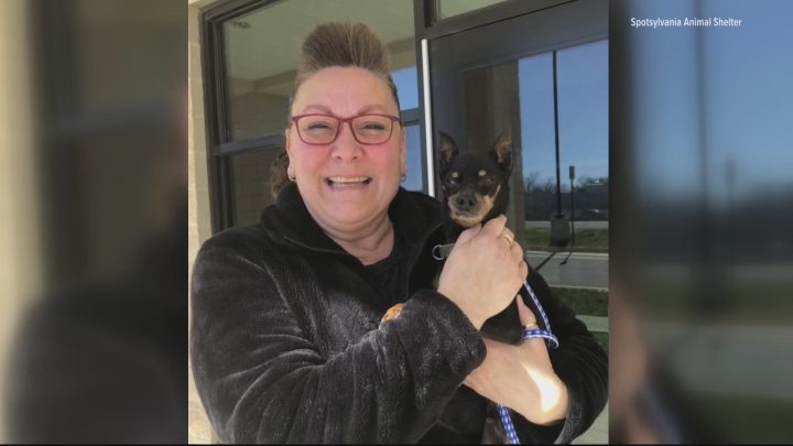 Dog reunites with owner after being missing for 7 years: ‘So many happy tears’