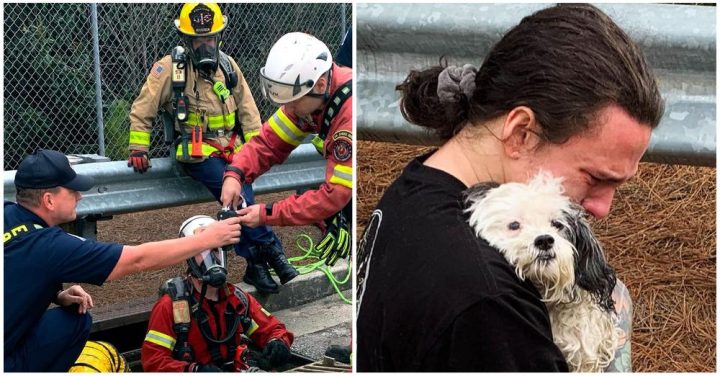 Firefighters Rescue Truck Driver’s Dog From Storm Drain, Reunite Her With Owner