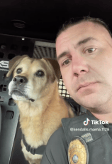 16-Year-Old Police K9 Gets Emotional During His Retirement Announcement