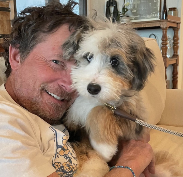 Michael J. Fox reveals new, adorable pet dog named Blue: ‘Welcome to your new home!’