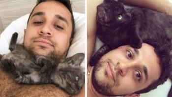 A Veterinarian Student Falls In Love With a Little Three Leggend Cat