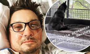 Jeremy Renner shares photo of loyal ‘protector’ dog by his side after accident
