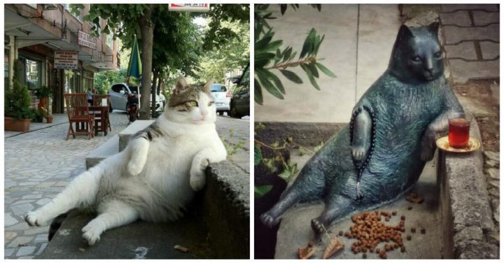 When a beloved street cat died, locals memorialized her by putting a statue of her in her favorite spot