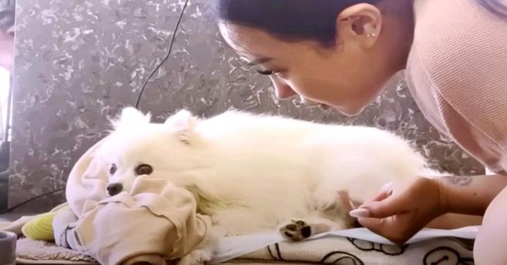 Mom Showers Her Paralyzed Dog With Love Believing It’ll Heal Him