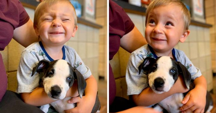 Boy with cleft lip adopts a rescue puppy with the same condition