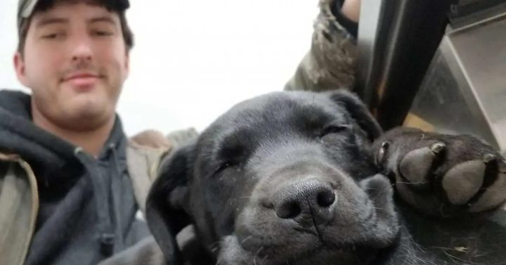 Deaf recue puppy adopted by deaf man who teaches him sign language