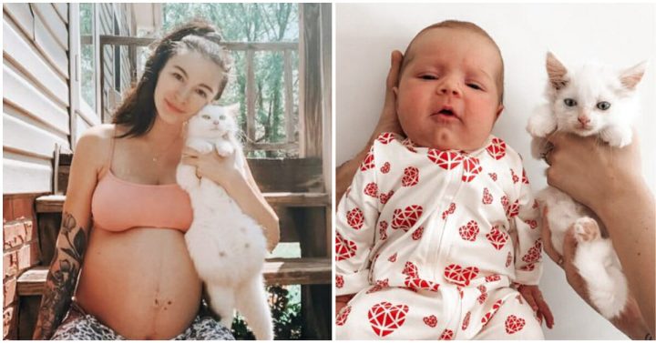 Pregnant woman forms bond with pregnant stray cat, then they give birth at same time