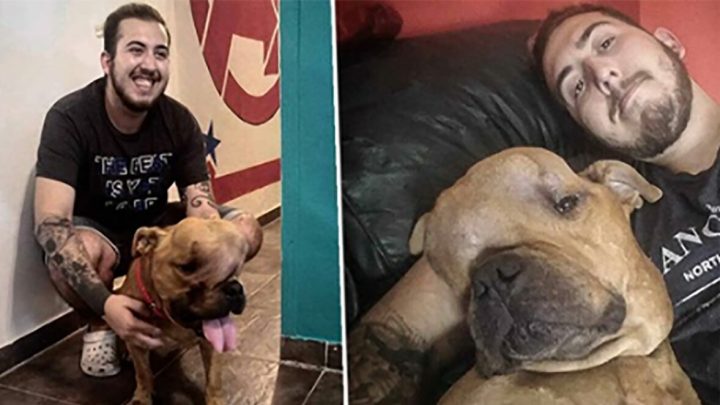 Dog with terminal cancer rejected by four families – then young man sees him and knows just what to do