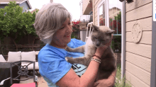 After Cat got lost in Yellowstone travels  800 miles!
